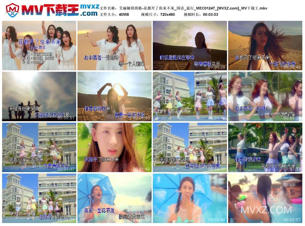 艾丽娅琪琪格-花都开了你来不来_国语_流行_MEC01247